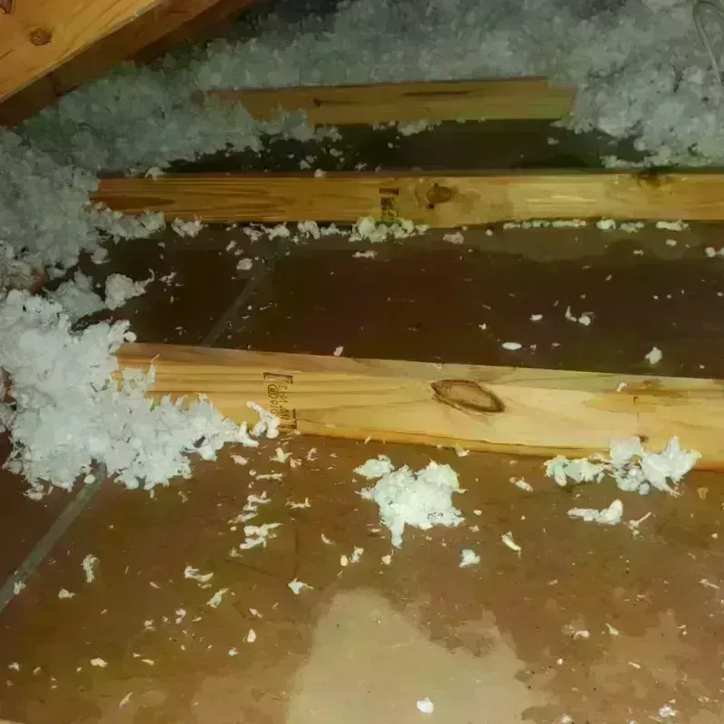 Attic Water Damage in Lowell, MI