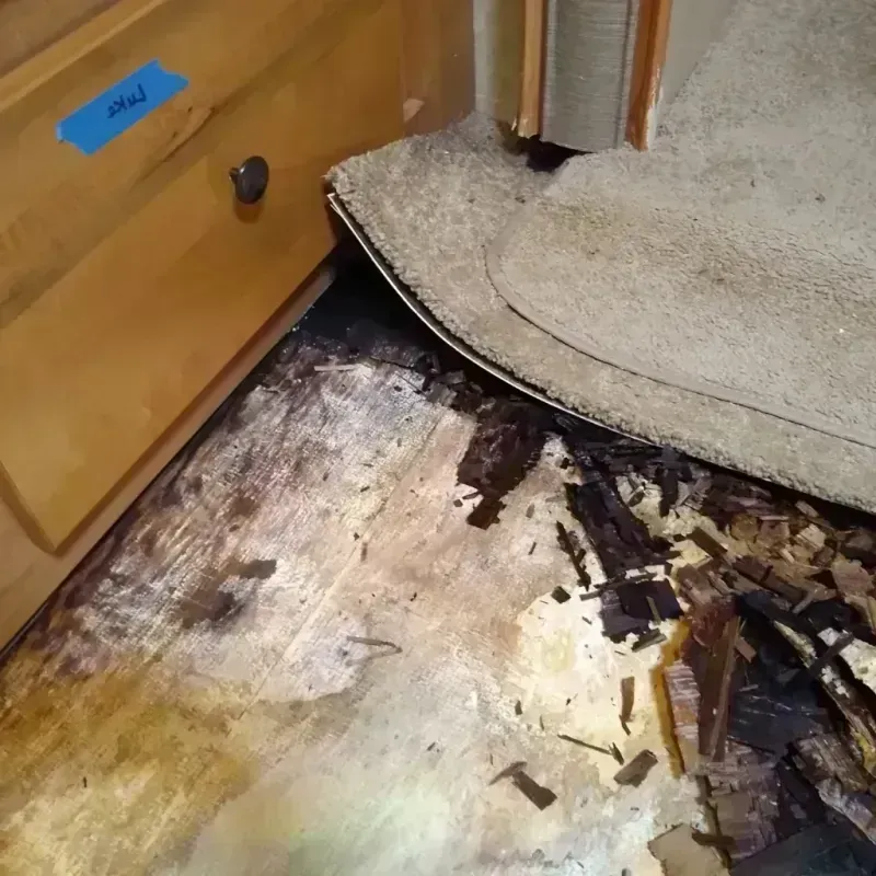 Wood Floor Water Damage in Lowell, MI